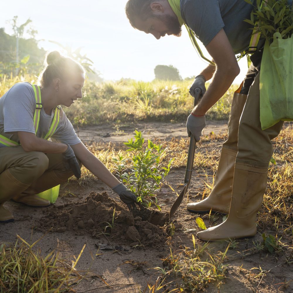 Especialista brindando asesoramiento agrícola en campo
